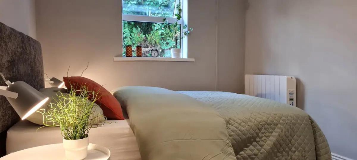 Blima Central Rooms دبلن المظهر الخارجي الصورة