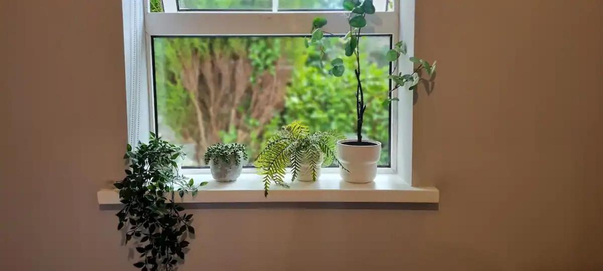 Blima Central Rooms دبلن المظهر الخارجي الصورة